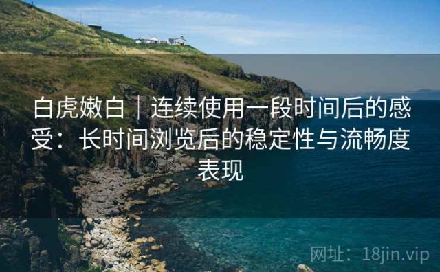 白虎嫩白｜连续使用一段时间后的感受：长时间浏览后的稳定性与流畅度表现