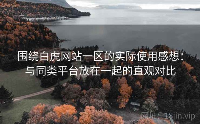 围绕白虎网站一区的实际使用感想：与同类平台放在一起的直观对比