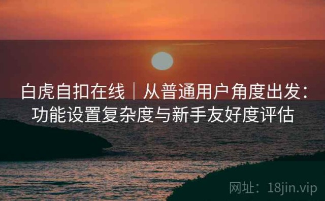 白虎自扣在线｜从普通用户角度出发：功能设置复杂度与新手友好度评估
