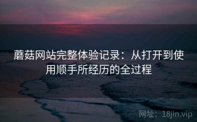 蘑菇网站完整体验记录：从打开到使用顺手所经历的全过程