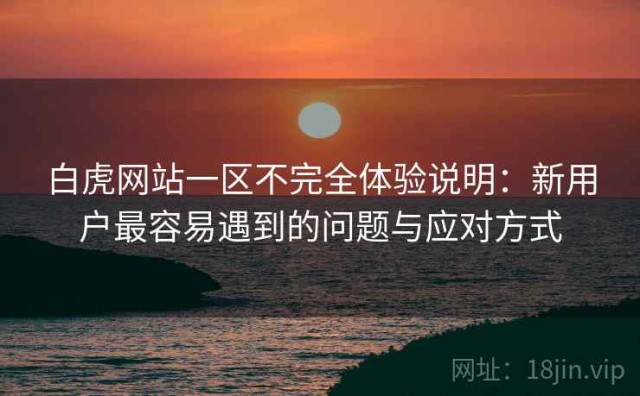 白虎网站一区不完全体验说明：新用户最容易遇到的问题与应对方式