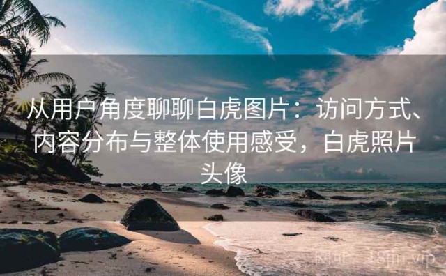 从用户角度聊聊白虎图片：访问方式、内容分布与整体使用感受，白虎照片头像
