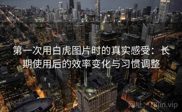 第一次用白虎图片时的真实感受：长期使用后的效率变化与习惯调整