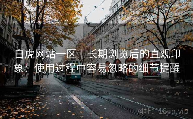 白虎网站一区｜长期浏览后的直观印象：使用过程中容易忽略的细节提醒
