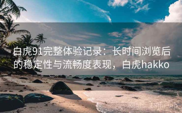 白虎91完整体验记录：长时间浏览后的稳定性与流畅度表现，白虎hakko