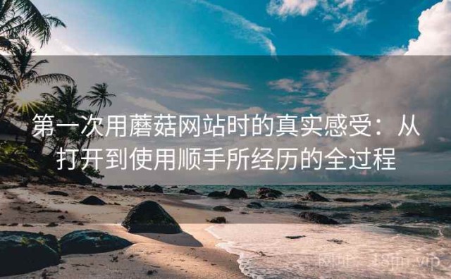 第一次用蘑菇网站时的真实感受：从打开到使用顺手所经历的全过程