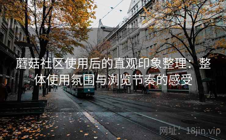 蘑菇社区使用后的直观印象整理:整体使用氛围与浏览节奏的感受 蘑菇社区使用后的直观印象整理:整体使用氛围与浏览节奏的感受