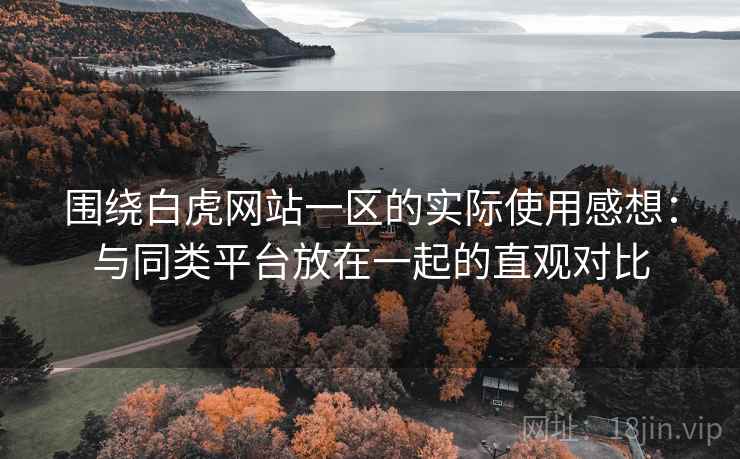 围绕白虎网站一区的实际使用感想：与同类平台放在一起的直观对比