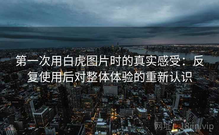 第一次用白虎图片时的真实感受：反复使用后对整体体验的重新认识