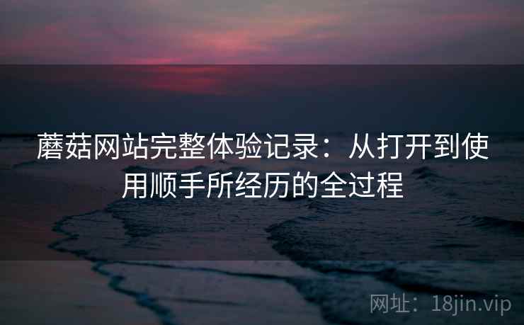 蘑菇网站完整体验记录：从打开到使用顺手所经历的全过程