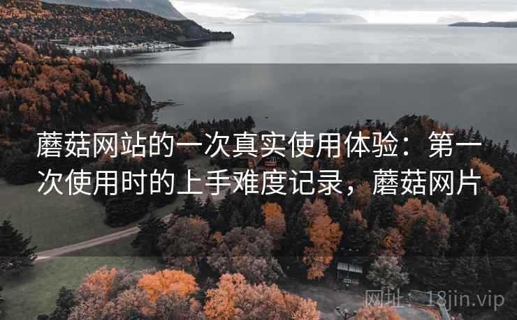 蘑菇网站的一次真实使用体验：第一次使用时的上手难度记录，蘑菇网片