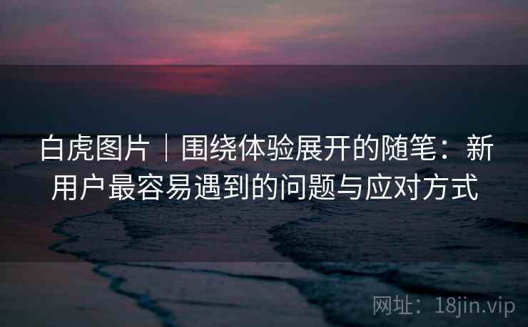 白虎图片｜围绕体验展开的随笔：新用户最容易遇到的问题与应对方式