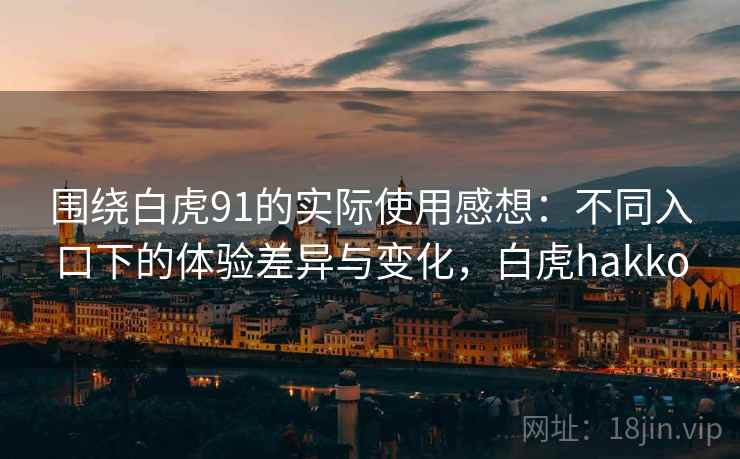 围绕白虎91的实际使用感想：不同入口下的体验差异与变化，白虎hakko
