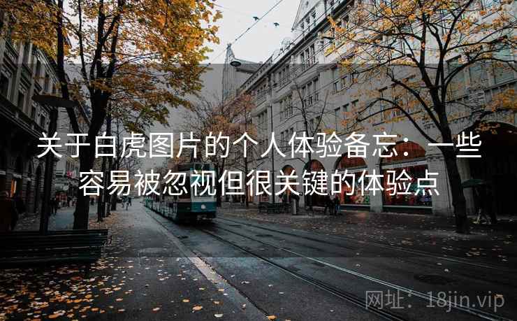 关于白虎图片的个人体验备忘：一些容易被忽视但很关键的体验点