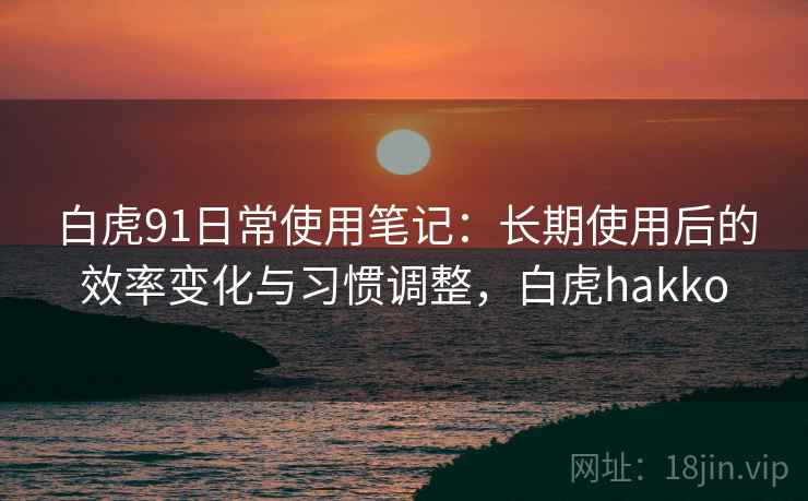 白虎91日常使用笔记：长期使用后的效率变化与习惯调整，白虎hakko
