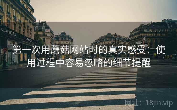 第一次用蘑菇网站时的真实感受:使用过程中容易忽略的细节提醒 第一次用蘑菇网站时的真实感受:使用过程中容易忽略的细节提醒