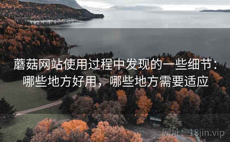 蘑菇网站使用过程中发现的一些细节：哪些地方好用，哪些地方需要适应