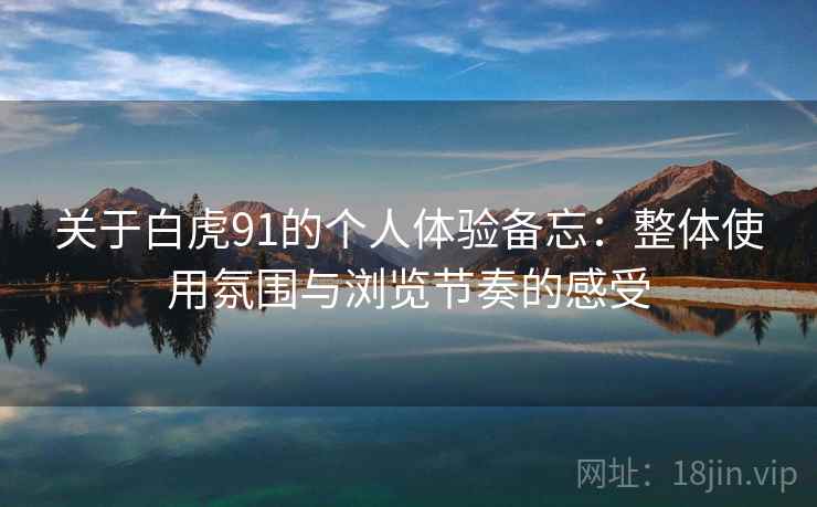 关于白虎91的个人体验备忘：整体使用氛围与浏览节奏的感受