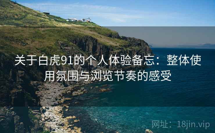 关于白虎91的个人体验备忘:整体使用氛围与浏览节奏的感受 关于白虎91的个人体验备忘:整体使用氛围与浏览节奏的感受