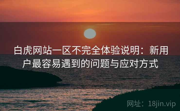 白虎网站一区不完全体验说明：新用户最容易遇到的问题与应对方式