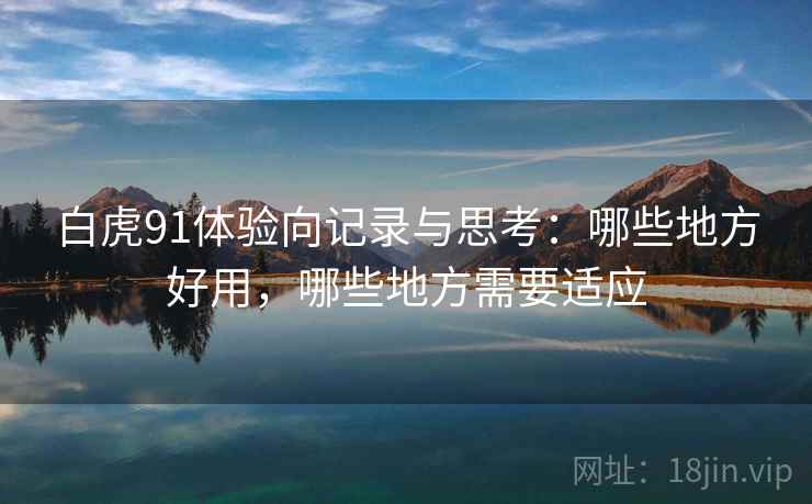 白虎91体验向记录与思考：哪些地方好用，哪些地方需要适应
