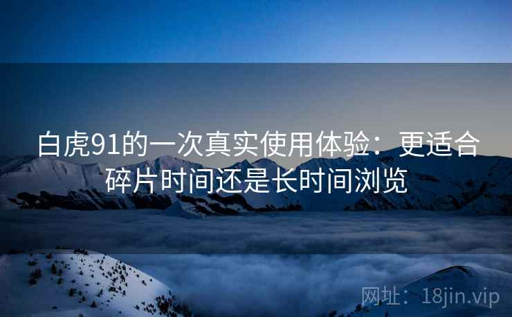 白虎91的一次真实使用体验:更适合碎片时间还是长时间浏览 白虎91的一次真实使用体验:更适合碎片时间还是长时间浏览