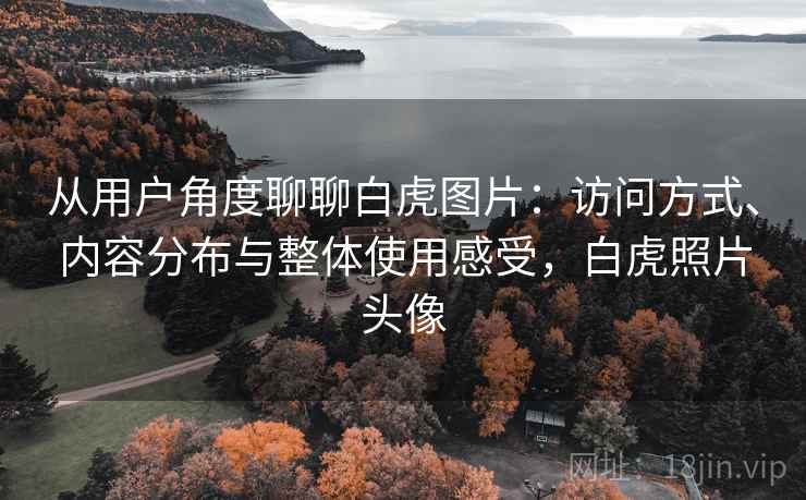 从用户角度聊聊白虎图片:访问方式、内容分布与整体使用感受,白虎照片头像 从用户角度聊聊白虎图片:访问方式、内容分布与整体使用感受,白虎照片头像